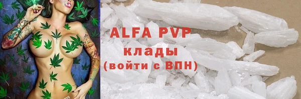 дмт Вяземский