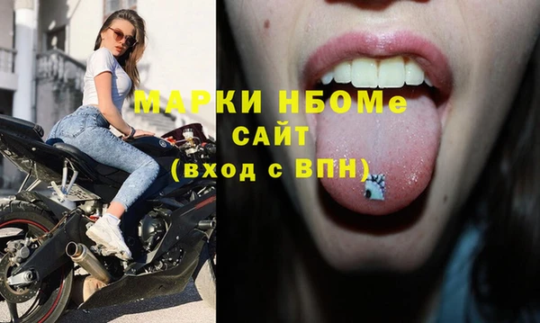 прущие грибы Горно-Алтайск